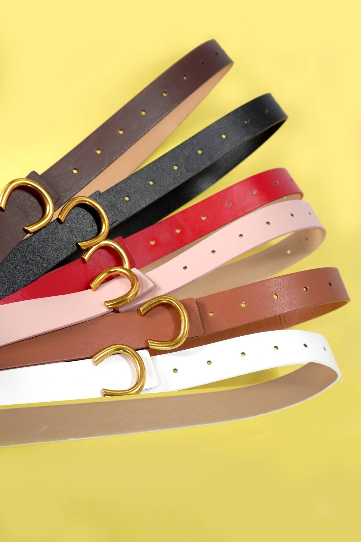 Gold Horseshoe Belt