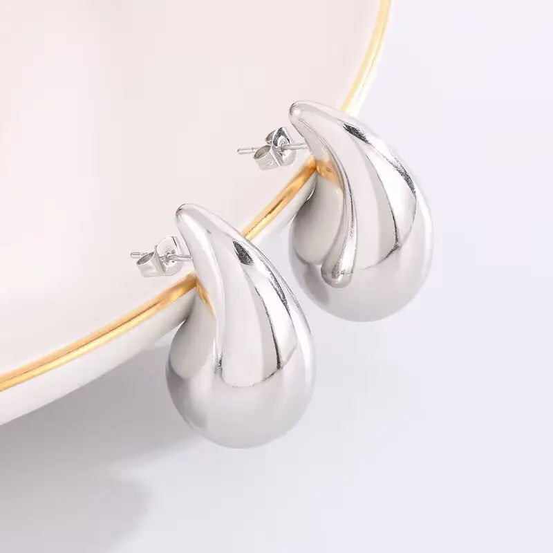 Stainless Steel Waterproof Tarnish Free Earrings