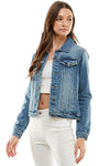 City Chic Structured Denim Jacket