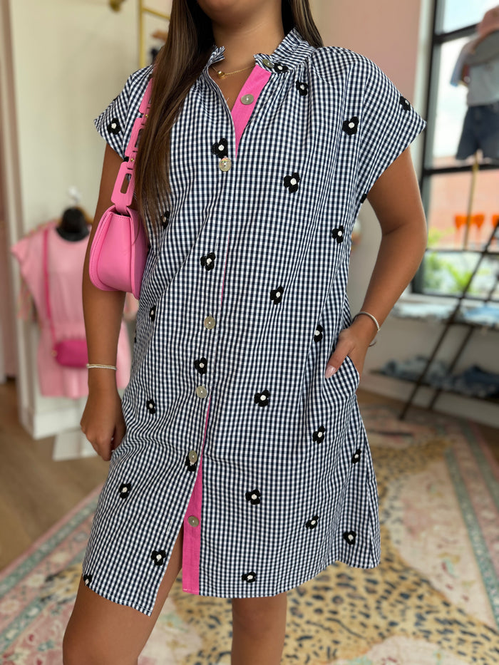 Pink Lemonade Picnic Dress