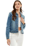 City Chic Structured Denim Jacket