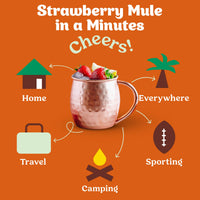 Strawberry Mule Cocktail / Mocktail Mixer